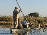 Makoro in Okavango Delta, Botswana